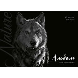 Альбом для рисования  Волк A4 40 листов Феникс+ 57430