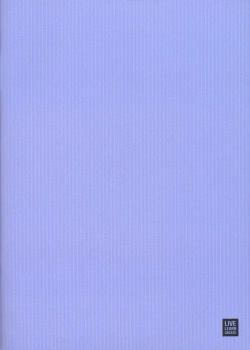 Бизнес тетрадь  Color А5 40 листов в клетку голубая Доминанта N2041