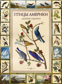 Птицы Америки Белый город Это первое русское издание самой дорогой тиражной