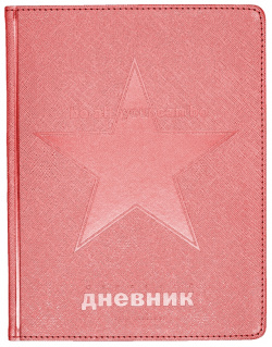 Дневник школьный Cosmo  красный 48 листов Bruno Visconti Космический благородный