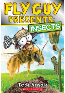 Insects Scholastic Inc  9780545757140