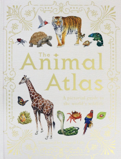 Animal Atlas  A Pictorial Guide to the Worlds Dorling Kindersley 9780241412787