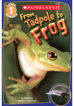 From Tadpole to Frog  Level 1 Scholastic Inc 9780545273374