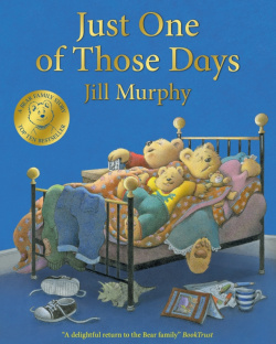 Just One of Those Days Macmillan Childrens Books 9781529021387 