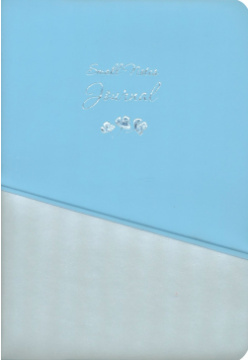 Записная книжка  А6 96 листов цвет: голубой серебряный Феникс+ 52778