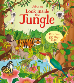 Look Inside the Jungle Usborne 9781409563938 