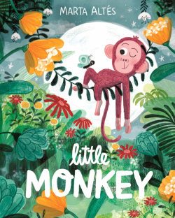 Little Monkey Macmillan Childrens Books 9781529045093 