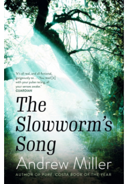 The Slowworms Song Sceptre 9781529354232 
