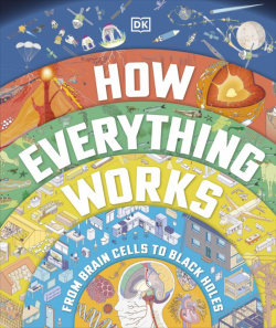 How Everything Works  From Brain Cells to Black Holes Dorling Kindersley 9780241509234