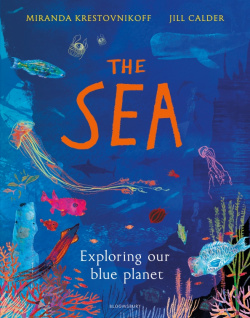 The Sea  Exploring our blue planet Bloomsbury 9781408889893
