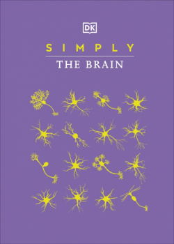 Simply The Brain Dorling Kindersley 9780241515891 human is a most