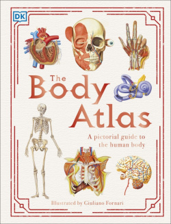 The Body Atlas  A Pictorial Guide to Human Dorling Kindersley 9780241412770