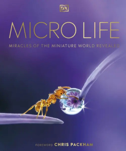 Micro Life  Miracles of the Miniature World Revealed Dorling Kindersley 9780241412756