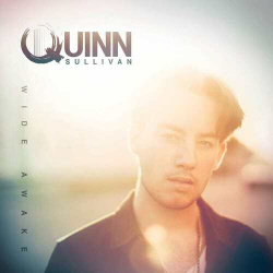 Виниловая пластинка Quinn Sullivan – Wide Awake LP Mascot 