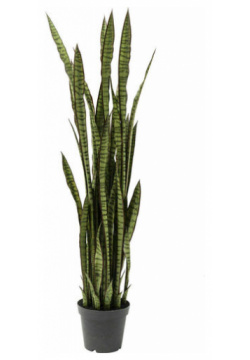 Предмет декоративный Сансевиерия  35 х 155 см зеленый/черный Kare