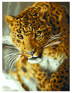 Картина по номерам на картоне Три Совы Леопард  с акриловыми красками и кистями 30 х 40 см