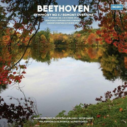Виниловая пластинка Ludwig van Beethoven  Simfonični orkester RTV Slovenija – SYMPHONY NO 5 / EGMONT OVERTURE LP