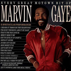 Виниловая пластинка Marvin Gaye – Every Great Motown Hit Of LP 