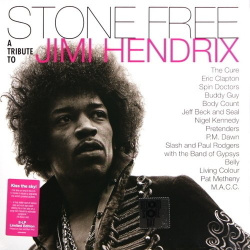 Виниловая пластинка Various Artists  Stone Free (A Tribute To Jimi Hendrix) (Clear And Black) 2LP WARNER