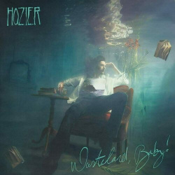 Виниловая пластинка Hozier  Wasteland Baby 2LP Universal