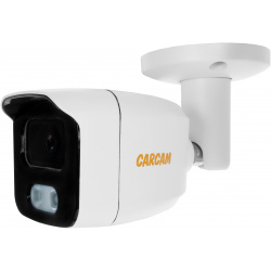 IP камера видеонаблюдения CARCAM CAM 2662PL 