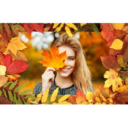 Рамки для фото Осенние листья 100 готовых рамок фотографий АКВИС 