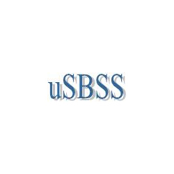 uSBSS  синхронизация распределенных гетерогенных баз данных (UNICODE версия) 3 6 2BT