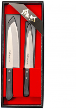 Набор из 2 х кухонных ножей Fuji Cutlery Tojiro  заточка #3000