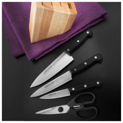 Набор из 3 х кухонных ножей с ножницами на деревянной подставке Universal  Arcos