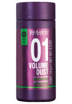 SALERM COSMETICS Пудра объем матирующая для волос / Volume Dust 10 г 2115 