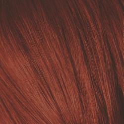 SCHWARZKOPF PROFESSIONAL 6 88 краска для волос Темный русый красный экстра / Igora Royal Extra 60 мл 1689020 