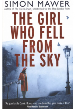 The Girl Who Fell from Sky Abacus 9780349000060 