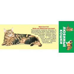 Любимые кошки  Карточки Искатель 9785907113268