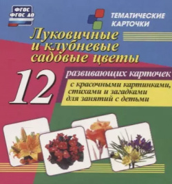 Луковичные и клубневые садовые цветы  12 развивающих карточек с красочными картинками стихами загадками для занятий детьми Учитель