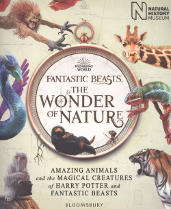 Fantastic Beasts: The Wonder of Nature  Amazing Animals and Magical Creatures Harry Potter Beasts Bloomsbury 9781526624031