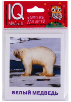 Умный малыш  Животные полярных широт Набор карточек для детей Айрис пресс 9785811267422
