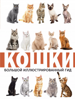 Кошки  Большой иллюстрированный гид ОГИЗ 9785171097509