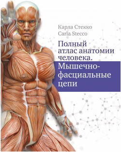 Полный атлас анатомии человека  Мышечно фасциальные цепи Кладезь 9785171367053 О