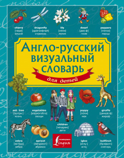 Англо русский визуальный словарь для детей АСТ 9785170822201 Детский