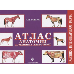 Атлас анатомии домашних животных Аквариум 9785423803551 