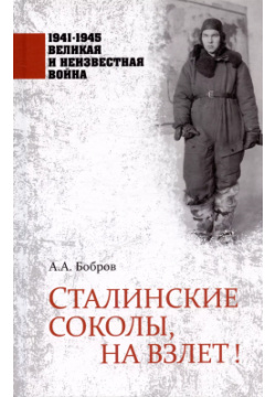 Сталинские соколы  на взлет Вече 9785448447112 Книга известного публициста и