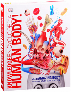 Knowledge Encyclopedia Human Body  Dorling Kindersley 9780241286852