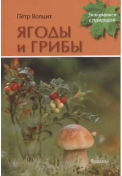 Ягоды и грибы Фитон ХХI 9785906811448 