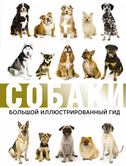Собаки  Большой иллюстрированный гид ОГИЗ 9785171099701