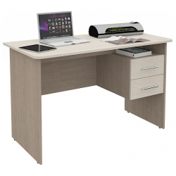 Компьютерный стол СК 213 Grey 