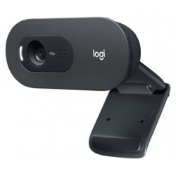 Веб камера Logitech WebCam C505e черный 2Mpix USB2 0 с микрофоном для ноутбука 960 001372