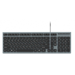 Клавиатура Ritmix RKB 400 Grey 80000596 Интерфейс подключения Usb  Тип