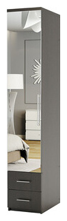 Шкаф с полками и ящиками Шарм Дизайн Комфорт МПЯ 11 30х60 зеркалом  венге Тип