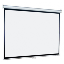 Экран для проектора Lumien Eco Picture LEP 100106 (127x127 / 1\1 настенно потолочный matte white)