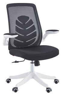 Офисное кресло Chairman CH565 белый пластик  черный (00 07146048) 00 07146048